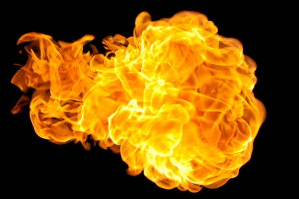 Fireball Virus